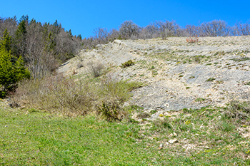 Photo n201704037
Valle fossile des Rimets (1070m) (Vercors, Isre)
Clich Serge SOYEZ
Copyright Reproduction interdite sans autorisation