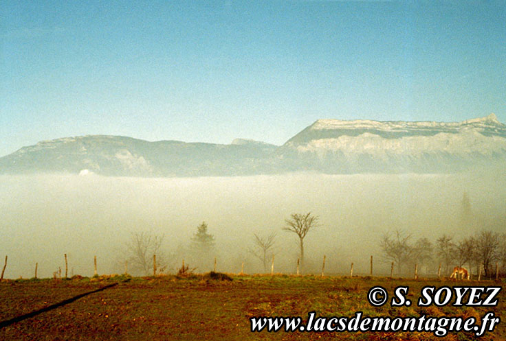 Mer de nuages
Clich Serge SOYEZ
Copyright Reproduction interdite sans autorisation