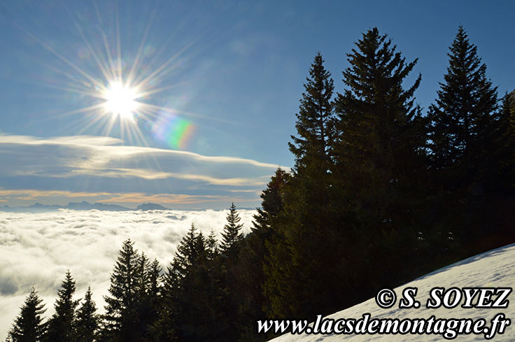 Photo nDSC_0100
Mer de nuages
Clich Serge SOYEZ
Copyright Reproduction interdite sans autorisation