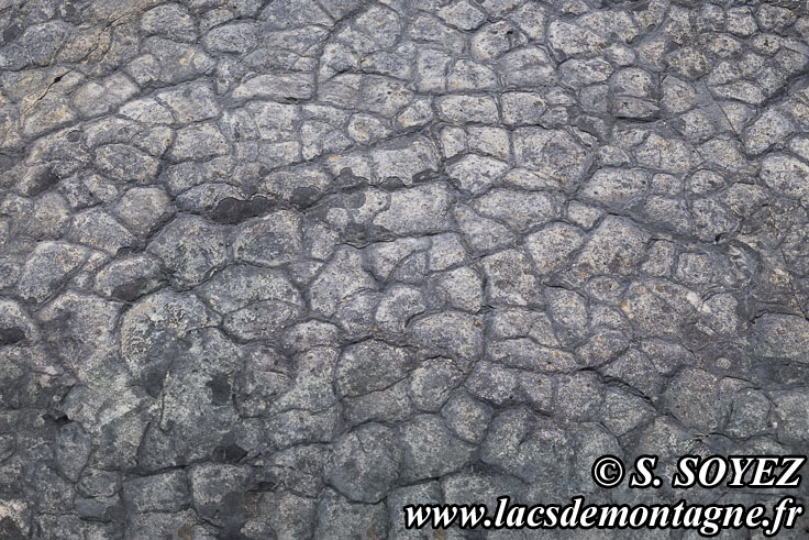 Photo n�202504001
Polygones de dessiccation.
Site � pistes de dinosaures � Loulle dans le Jura. Lieu-dit le Bois-Aux-Salp�triers - D253 39300 LOULLE
Clich� Serge SOYEZ
Copyright Reproduction interdite sans autorisation