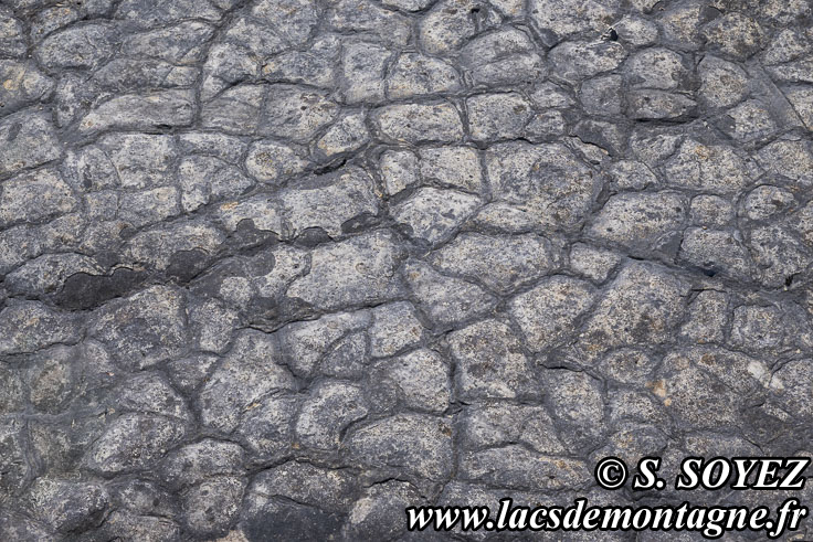 Photo n�202504002
Polygones de dessiccation.
Site � pistes de dinosaures � Loulle dans le Jura. Lieu-dit le Bois-Aux-Salp�triers - D253 39300 LOULLE
Clich� Serge SOYEZ
Copyright Reproduction interdite sans autorisation