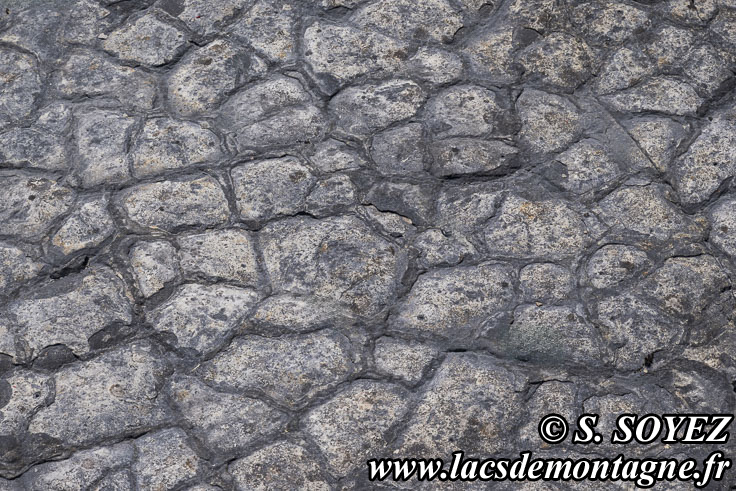 Photo n�202504003
Polygones de dessiccation.
Site � pistes de dinosaures � Loulle dans le Jura. Lieu-dit le Bois-Aux-Salp�triers - D253 39300 LOULLE
Clich� Serge SOYEZ
Copyright Reproduction interdite sans autorisation