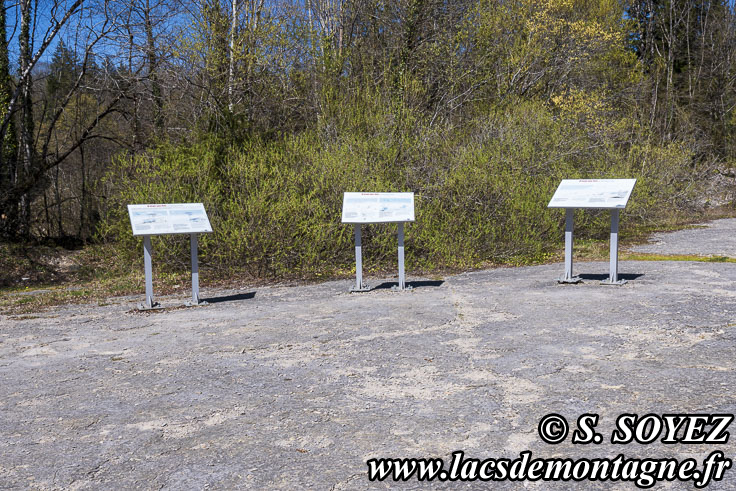 Photo n�202504007
Site � pistes de dinosaures � Loulle dans le Jura. Lieu-dit le Bois-Aux-Salp�triers - D253 39300 LOULLE
Clich� Serge SOYEZ
Copyright Reproduction interdite sans autorisation