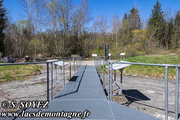 Photo n�202504008
Site � pistes de dinosaures � Loulle dans le Jura. Lieu-dit le Bois-Aux-Salp�triers - D253 39300 LOULLE
Clich� Serge SOYEZ
Copyright Reproduction interdite sans autorisation