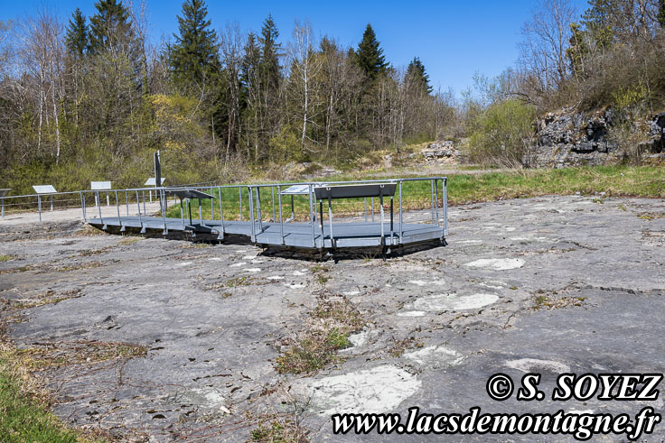 Photo n�202504011
Site � pistes de dinosaures � Loulle dans le Jura. Lieu-dit le Bois-Aux-Salp�triers - D253 39300 LOULLE
Clich� Serge SOYEZ
Copyright Reproduction interdite sans autorisation