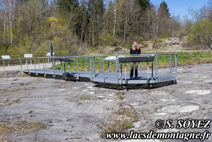 Photo n�202504013
Site � pistes de dinosaures � Loulle dans le Jura. Lieu-dit le Bois-Aux-Salp�triers - D253 39300 LOULLE
Clich� Serge SOYEZ
Copyright Reproduction interdite sans autorisation