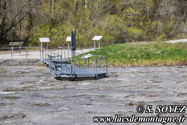 Photo n�202504020
Site � pistes de dinosaures � Loulle dans le Jura. Lieu-dit le Bois-Aux-Salp�triers - D253 39300 LOULLE
Clich� Serge SOYEZ
Copyright Reproduction interdite sans autorisation