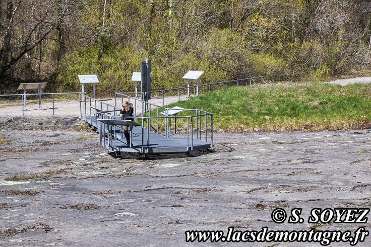 Photo n�202504021
Site � pistes de dinosaures � Loulle dans le Jura. Lieu-dit le Bois-Aux-Salp�triers - D253 39300 LOULLE
Clich� Serge SOYEZ
Copyright Reproduction interdite sans autorisation