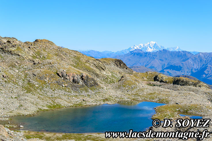 Photo n201208041
Lac Gris (2663m) (Les Grandes Rousses, Savoie)
Clich Dominique SOYEZ
Copyright Reproduction interdite sans autorisation