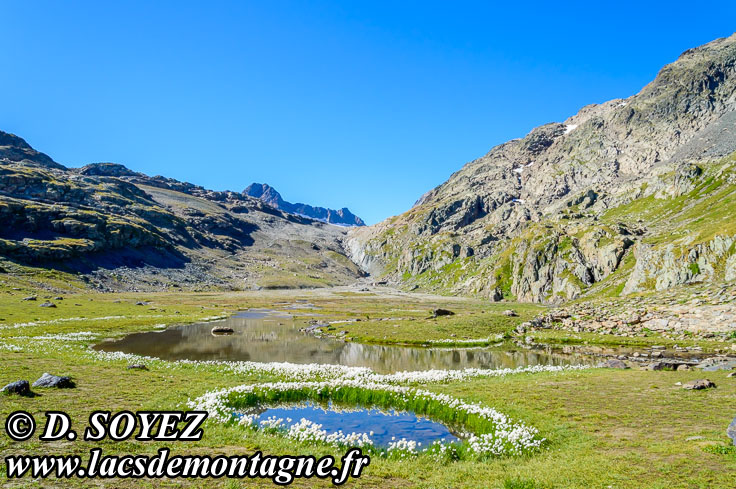 Photo n201208035
Lac Tournant (2502m) (Les Grandes Rousses, Savoie)
Clich Dominique SOYEZ
Copyright Reproduction interdite sans autorisation