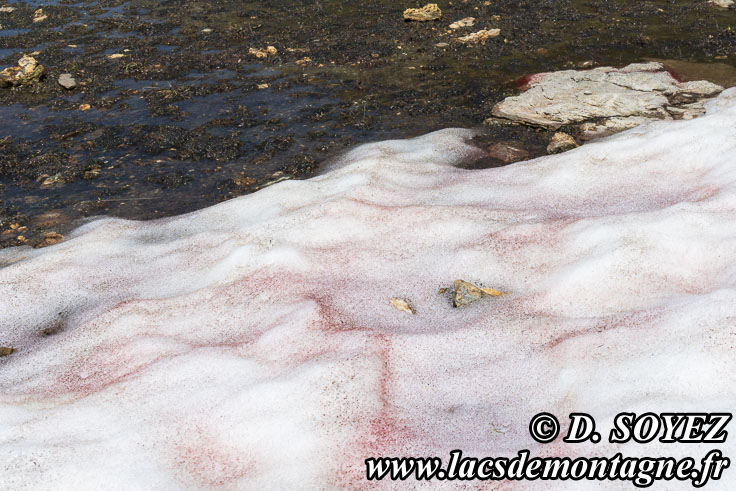 Photo n°202307115
Cliché Dominique SOYEZ
Copyright Reproduction interdite sans autorisation Photo n°202307115
Cliché Dominique SOYEZ
Copyright Reproduction interdite sans autorisation