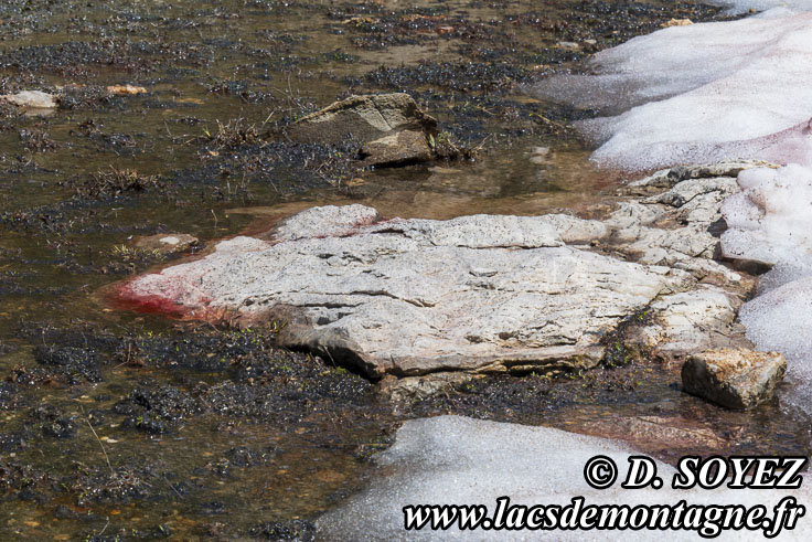 Photo n°202307116
Cliché Dominique SOYEZ
Copyright Reproduction interdite sans autorisation Photo n°202307116
Cliché Dominique SOYEZ
Copyright Reproduction interdite sans autorisation