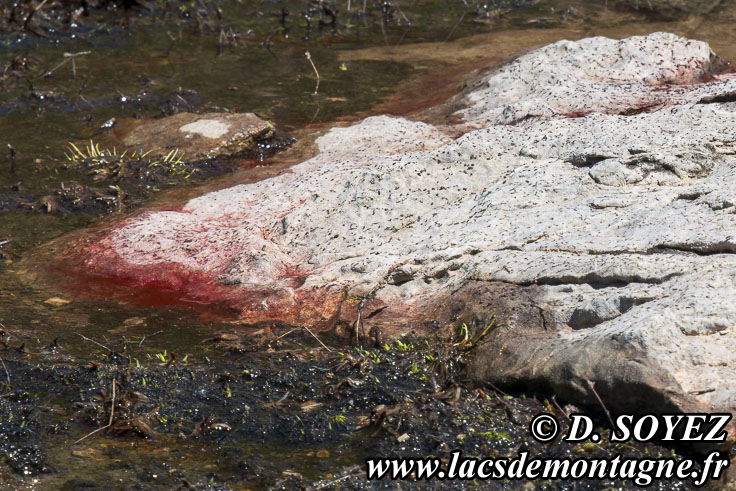 Photo n°202307117
Cliché Dominique SOYEZ
Copyright Reproduction interdite sans autorisation Photo n°202307117
Cliché Dominique SOYEZ
Copyright Reproduction interdite sans autorisation