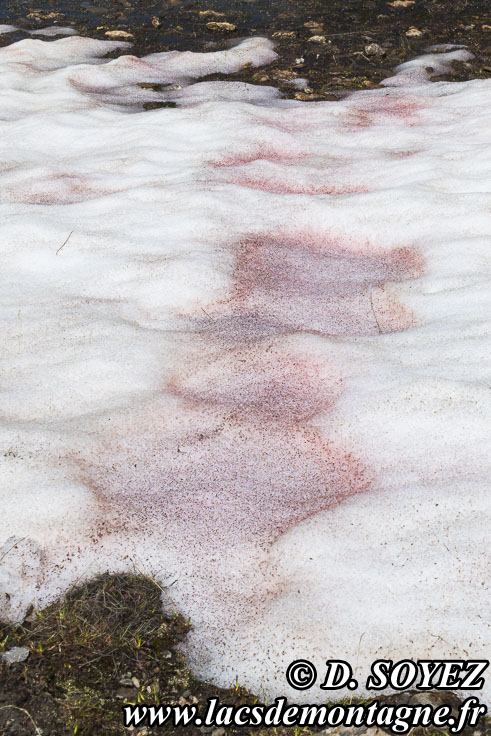 Photo n°202307118
Cliché Dominique SOYEZ
Copyright Reproduction interdite sans autorisation Photo n°202307118
Cliché Dominique SOYEZ
Copyright Reproduction interdite sans autorisation