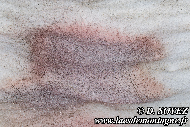 Photo n°202307119
Cliché Dominique SOYEZ
Copyright Reproduction interdite sans autorisation Photo n°202307119
Cliché Dominique SOYEZ
Copyright Reproduction interdite sans autorisation