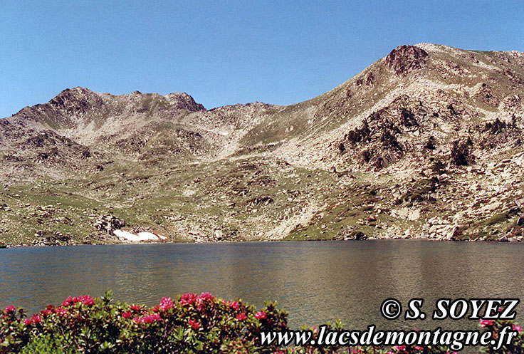 Photo n19910706
Lac Suprieur (2340m) (Nouvielle, Hautes-Pyrnes)
Clich Serge SOYEZ
Copyright Reproduction interdite sans autorisation