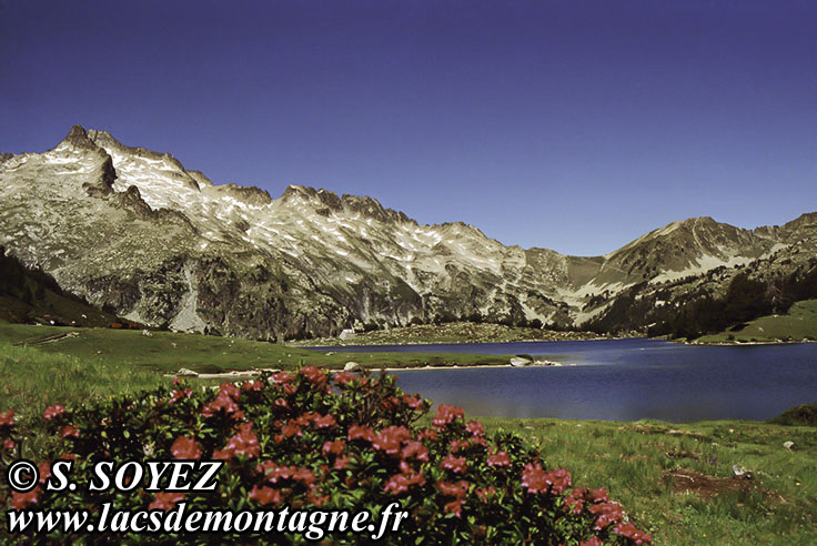 Photo n19910704NHD_art
Lac d'Aumar (2212m) (Nouvielle, Hautes-Pyrnes)
Clich Serge SOYEZ
Copyright Reproduction interdite sans autorisation