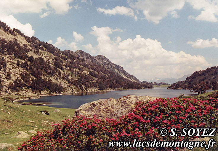 Photo n19910705
Lac d'Aumar (2212m) (Nouvielle, Hautes-Pyrnes)
Clich Serge SOYEZ
Copyright Reproduction interdite sans autorisation