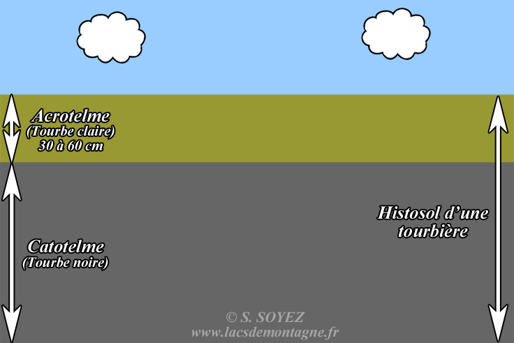 Histosol d'une tourbire
Serge SOYEZ
Copyright Reproduction interdite sans autorisation