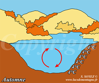 Gradient thermique d'un lac de montagne en automne