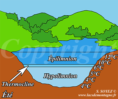 Gradient thermique d'un lac de montagne en t