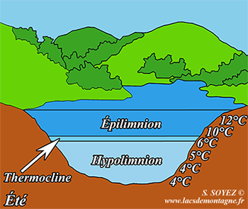 Les lacs de montagne: de la molécule d'eau à l'écosystème