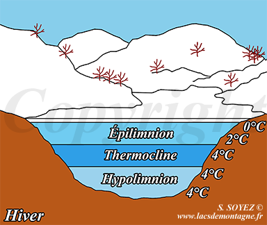 Gradient thermique d'un lac de montagne en hiver