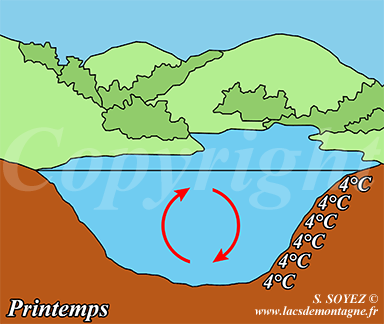 Gradient thermique d'un lac de montagne au printemps