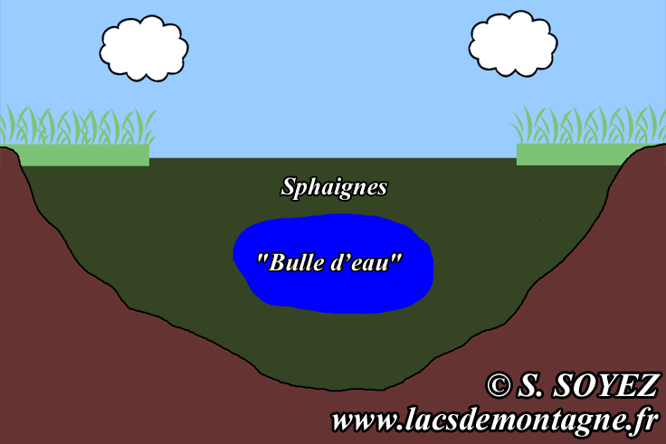 Formation d'une tourbire
Serge SOYEZ
Copyright Reproduction interdite sans autorisation