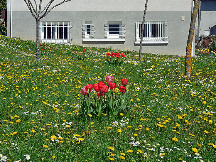 Vue extrieure du studio meubl pour 1  2 personnes chez l'habitant,  Saint-Ismier, valle du Grsivaudan, prs de Grenoble